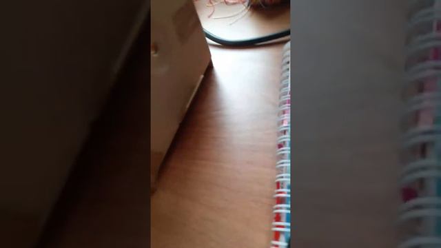 Догадайся что можно увидеть из обычной коробки маленькой из под машинки смотреть онлайн