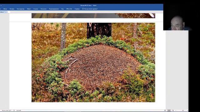 Вебинар №210 Садоводство глазами Валерия Железова смотреть онлайн