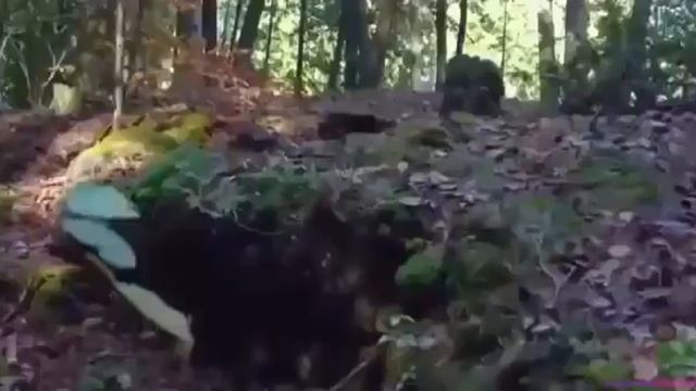 Отличный боевик ВЫЖИТЬ Фантастика Зарубежные фильмы смотреть онлайн