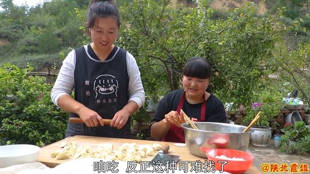 【陕北霞姐】雨后木头上长了很多木耳，摘回来做木耳饺子，羊肉汤＋柿子酱，两种口味香上头！ смотреть онлайн