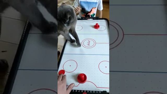 кто играет в аэро хоккей смотреть онлайн