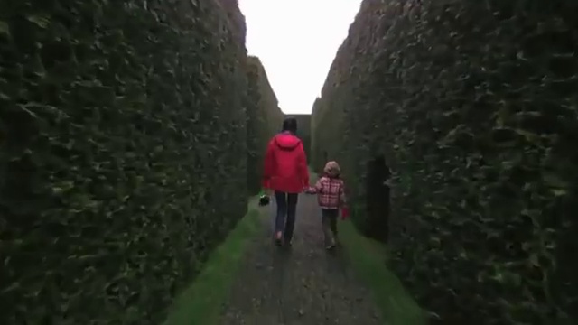 Уроки композиции Стенли Кубрика смотреть онлайн