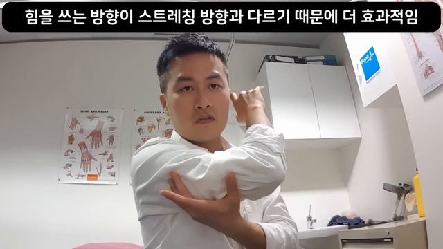 스트레칭 그만! 운동 전 스트레칭 워밍업 루틴 ft. 영국스포츠의학저널 смотреть онлайн