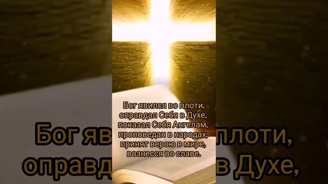 А ты видел Бога, что веришь в Него ??? #україна #христианство #Бог #рек #атеист #популярное #рек смотреть онлайн
