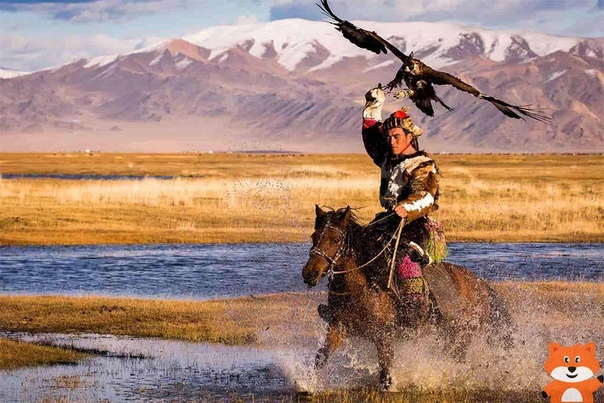 ВЕЗЕНИЕ КОЧЕВНИКА-МОНГОЛА... ДЛЯ ВСЕХ... ВЕДЬМИНА ИЗБА ● ИНГА ХОСРОЕВА смотреть онлайн