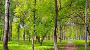 Мытищи сегодня, видеоэкскурсия. Виды города, парки, памятники, спорт в Мытищах