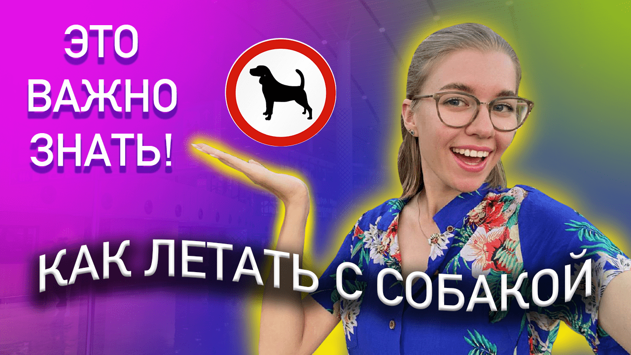 Как летать с собакой!? Все особенности смотреть онлайн