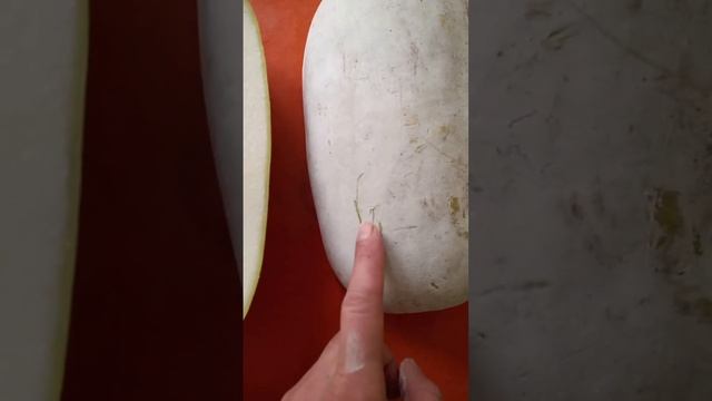 тыква восковая смотреть онлайн