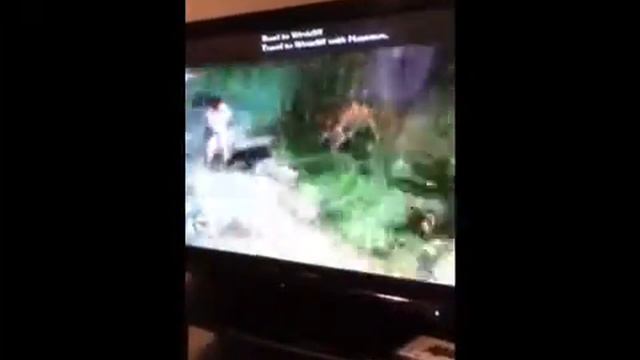 Fable 2 wall Bug смотреть онлайн