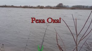 Открытие сезона открытой воды! Река Ока, Шиморский затон.