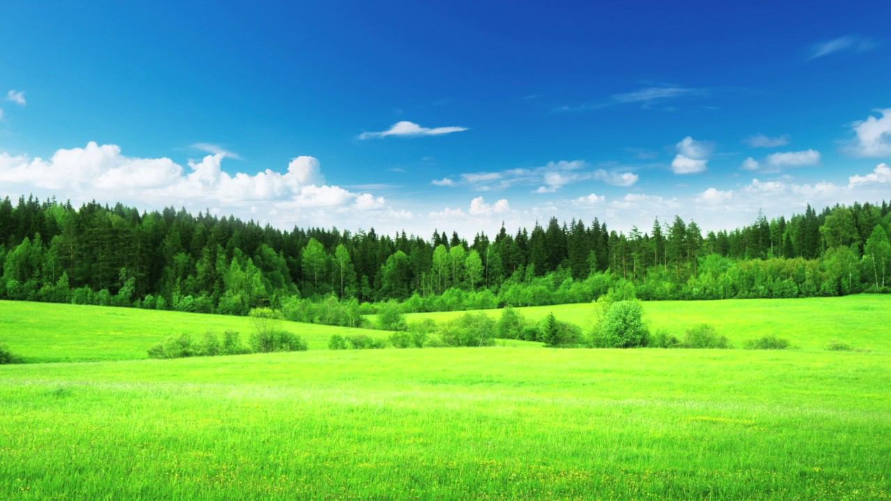 15 МИНУТ ДЛЯ СНЯТИЯ УСТАЛОСТИ смотреть онлайн