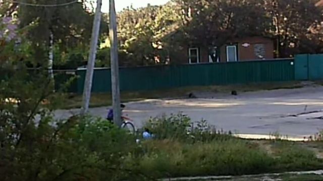 Україна це Європа (нет) м. Лебедин Сумська обл. (12.08.2020). смотреть онлайн