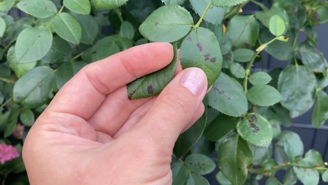 Стройка Чек-Лист