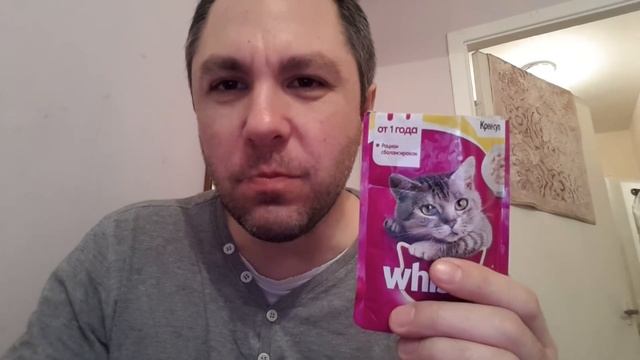 СУПЕР МЕГА ЖЕСТЬ, ЕМ ЭКСТРИМАЛЬНУЮ ЕДУ, КОШАЧИЙ КРЕМ - СУП.