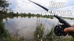 Ловля карпа на поплавочную удочку! Рыбалка на карпа летом в августе