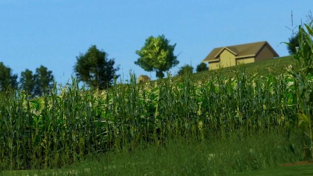 Gettin' RUF In A CTR Yellowbird (Extended Cut)