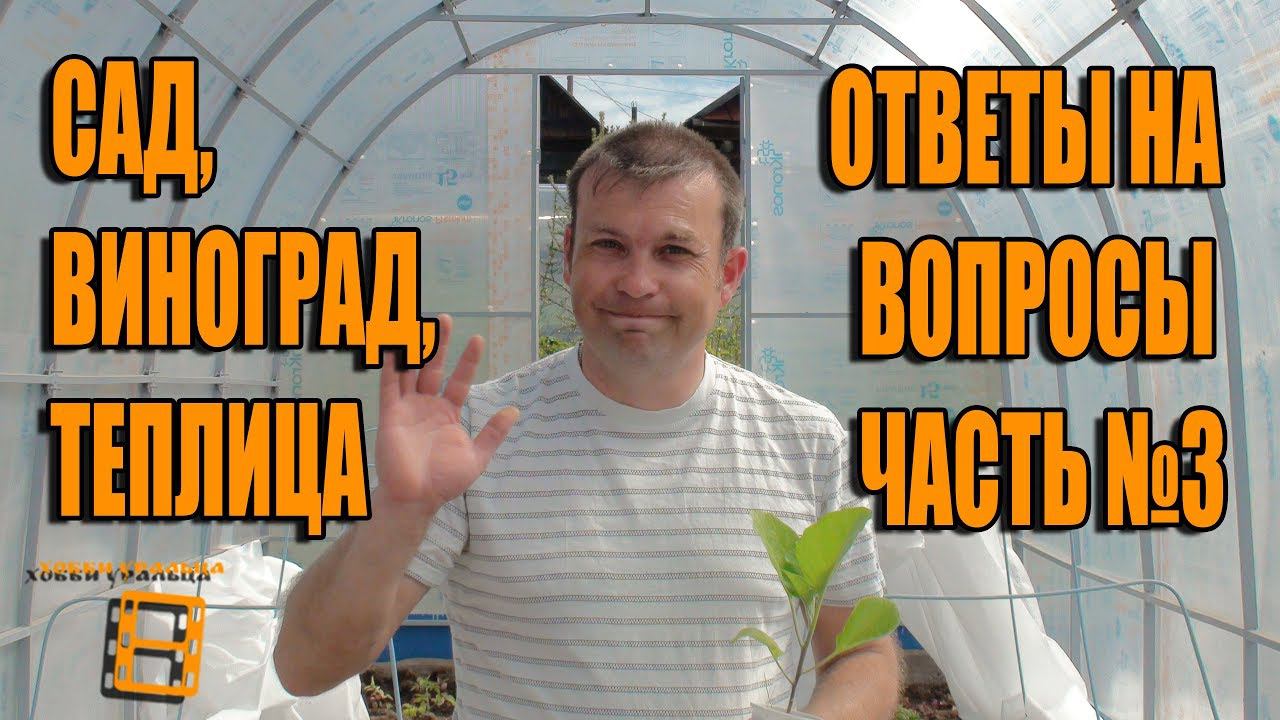 САД, ВИНОГРАД, ТЕПЛИЦА. №3 ОТВЕТЫ НА ВОПРОСЫ. ПРЯМЫЕ ТРАНСЛЯЦИИ смотреть онлайн