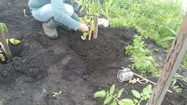 Мой взгляд на доходы со своего огорода и содержание моих животных. Реальные цифры и подсчеты. ))) смотреть онлайн
