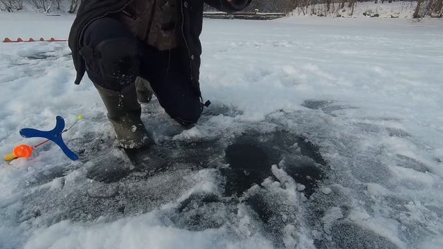 Форель на поставушку в Царской рыбалке смотреть онлайн