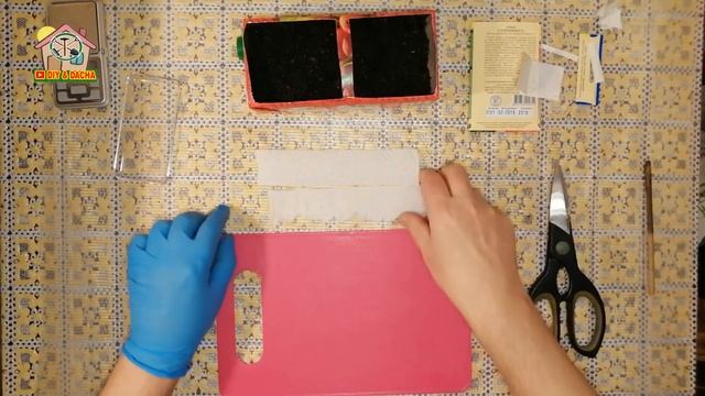 Томаты. Высаживание семян под кокосовый грунт. День 1. DIY & DACHA №168 смотреть онлайн