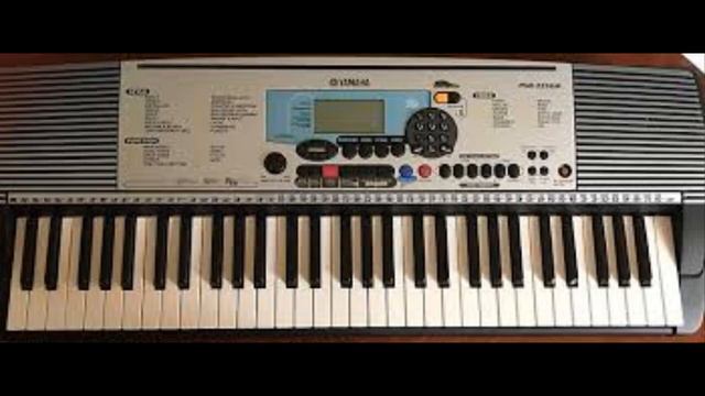 summer love / Larry plays his Yamaha PSR 225GM смотреть онлайн