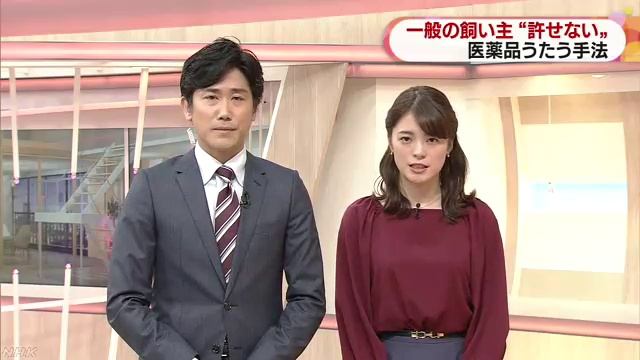「犬のがんに効く」未承認サプリ販売の疑い ベストライフデザインの塩澤由貴夫社長逮捕 смотреть онлайн