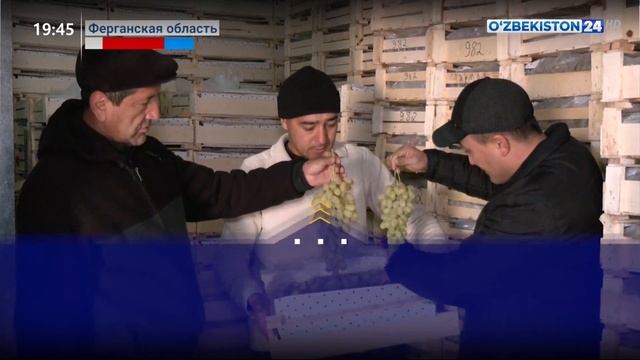Увеличение показателей экспорта фруктов и овощей в Фергане смотреть онлайн
