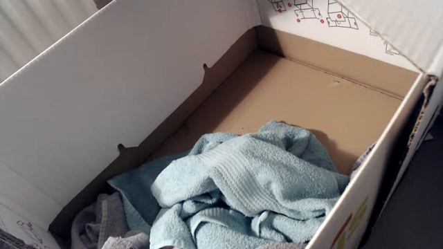 Tweede nestje van Saar | 17-12-2019 смотреть онлайн