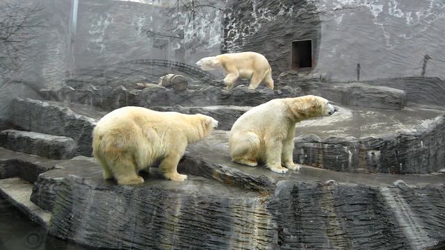 2013-03-29 - 04-01 - Прага - SAM 3522st смотреть онлайн