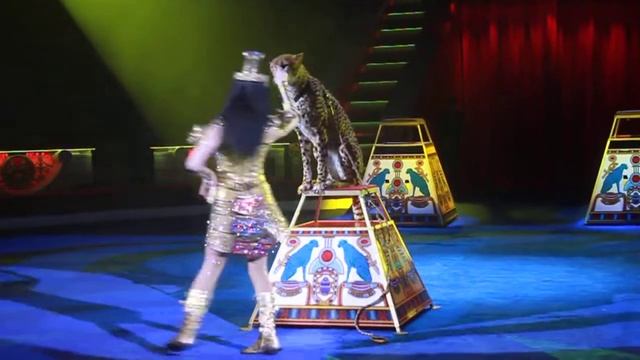 Гепарды Дарьи Костюк   Daria Kostyuk And Her Cheetah