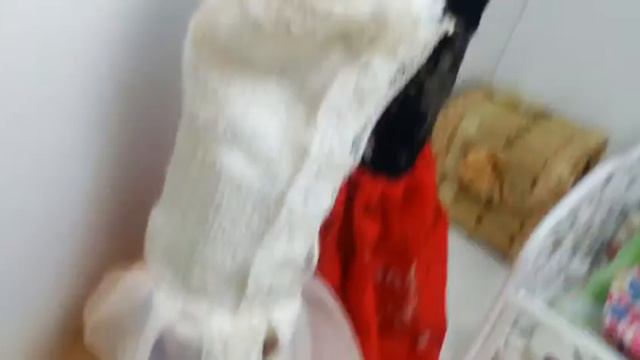 Скажи мне, я сплю?#1 смотреть онлайн