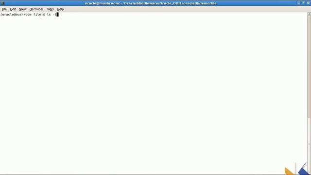 Oracle Data Integrator ODI - Exportar archivo de texto plano a tabla de una base de datos Oracle смотреть онлайн