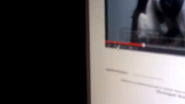 Тимофей и online выставка кошек смотреть онлайн