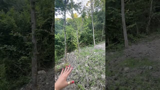 Уютный дом с пропиской в Сочи смотреть онлайн