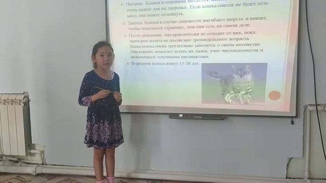 Тырылгина Таня 6л. МБДОУ Детский сад №2
Сказка»
"Кошка и тигр" смотреть онлайн