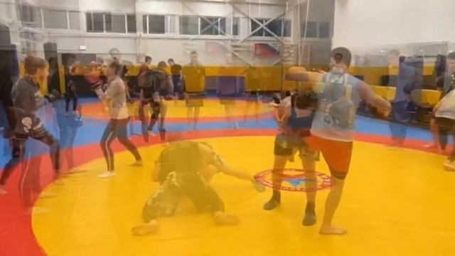 Тренировка по ММА г. Королев смотреть онлайн
