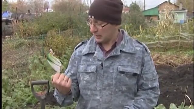 Семена интересного лука-порея смотреть онлайн