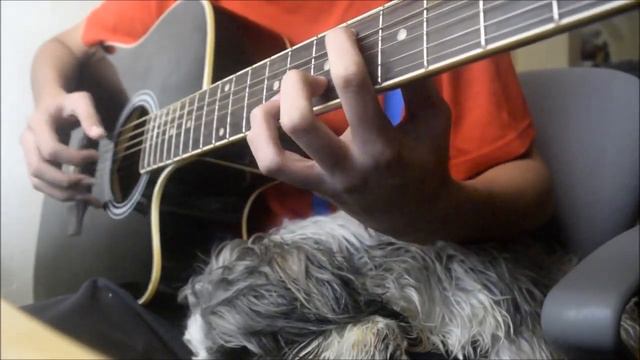 The Winner Takes it all - ABBA (Fingerstyle Guitar Cover) смотреть онлайн