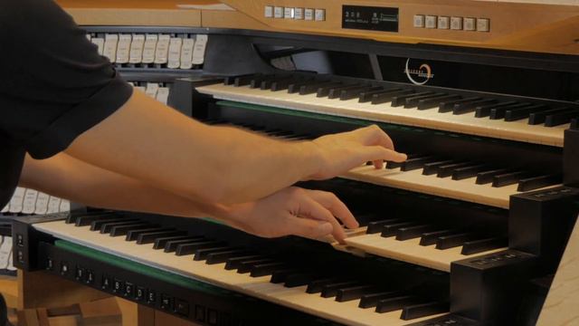 Seda Amir-Karayan, Kensuke Ohira: Gustav Mahler: Urlicht смотреть онлайн
