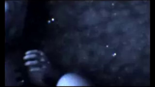 Алкоголь и зачатие