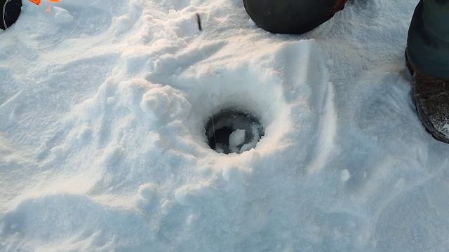 сработала жерлица, мелоч но приятно смотреть онлайн