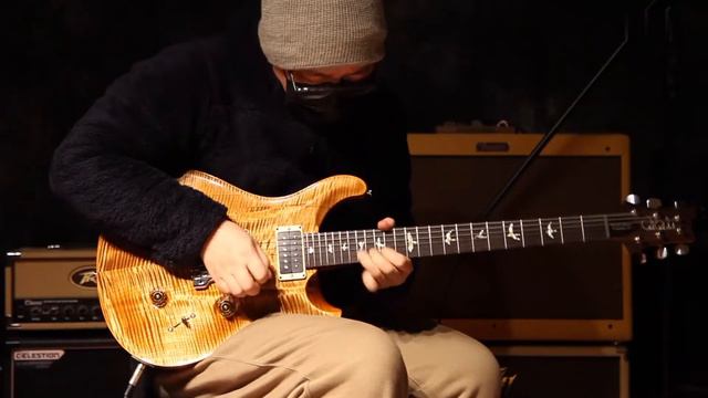 PRS Wood Library Custom 24 | SN: 0329443 | No Talking смотреть онлайн