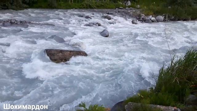 ШОХИМАРДОН СОГИНГАНЛАР УЧУН смотреть онлайн
