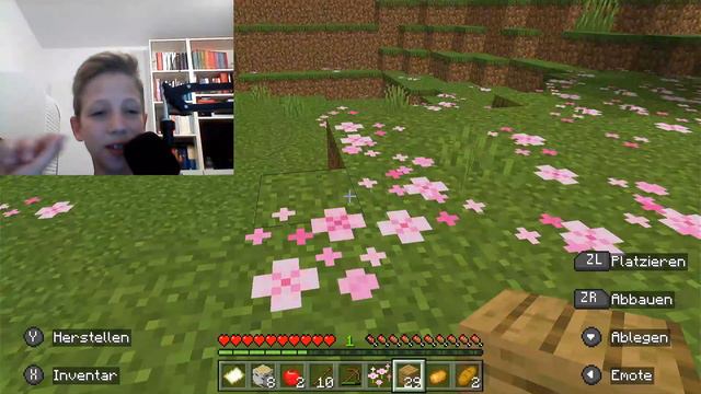 Minecraft 1.20 Live mit MIkrofon und Facecam! смотреть онлайн