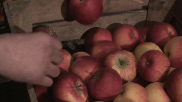 ocena przechowywania jabłek z komory zwykłej смотреть онлайн