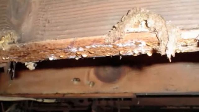 Crawl Space FAQ - Part 3: Why Should I Fix My Crawl Space? смотреть онлайн