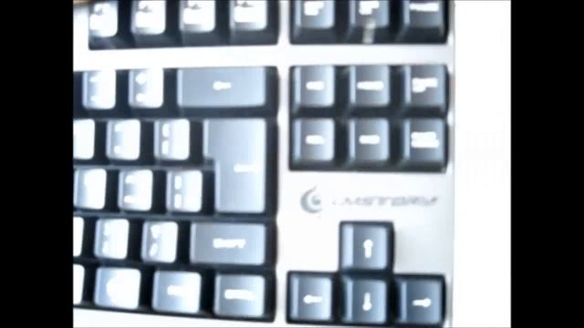 CMStorm Quickfire Rapid VS Razer Lycosa - Round 2 - V2 смотреть онлайн