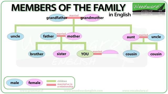 Members Of The Family In English