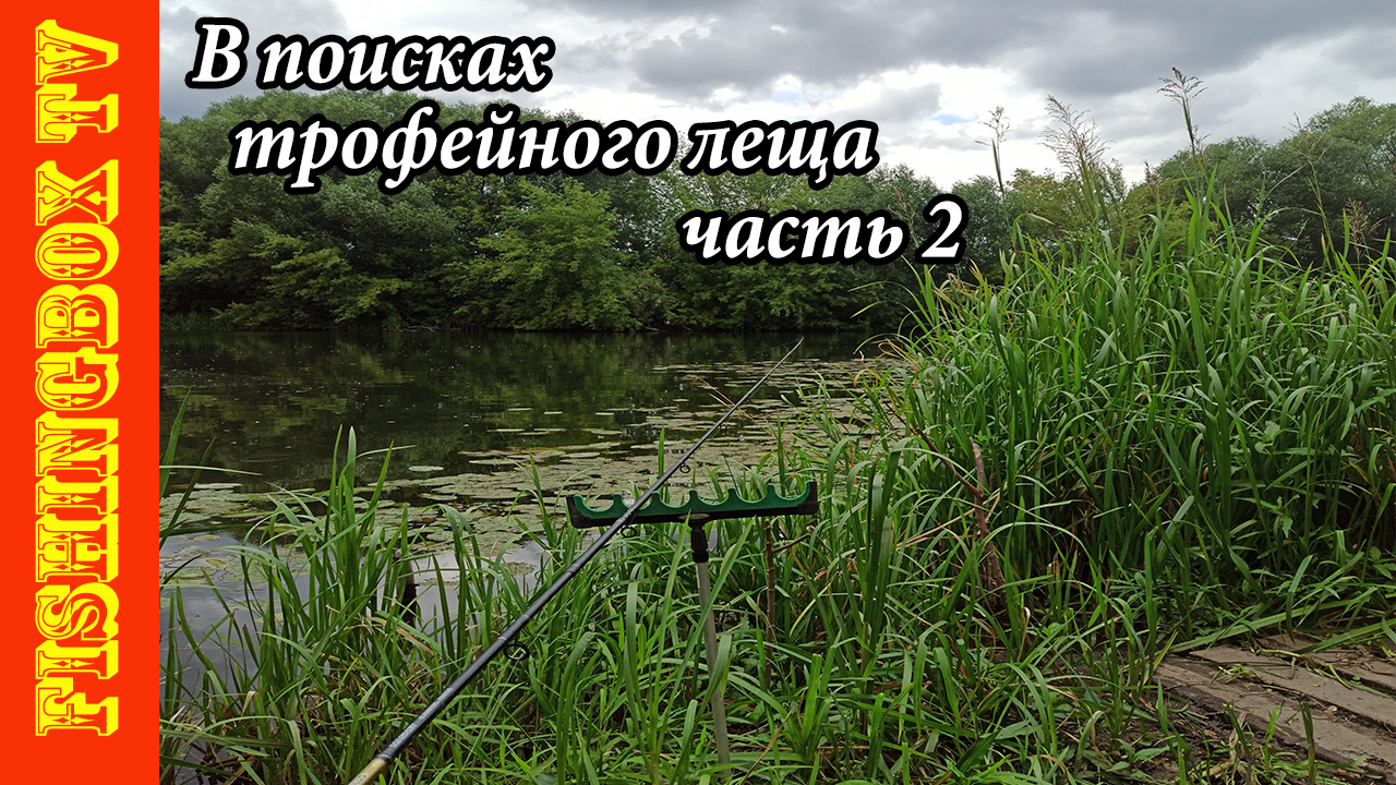 В поисках трофейного леща. Ч2 Первые лещики.mp4 смотреть онлайн