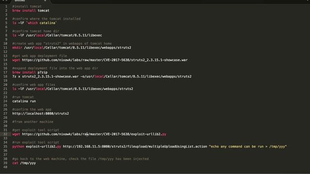 test struts2 vulnerability CVE-2017-5638 in MAC OS X смотреть онлайн